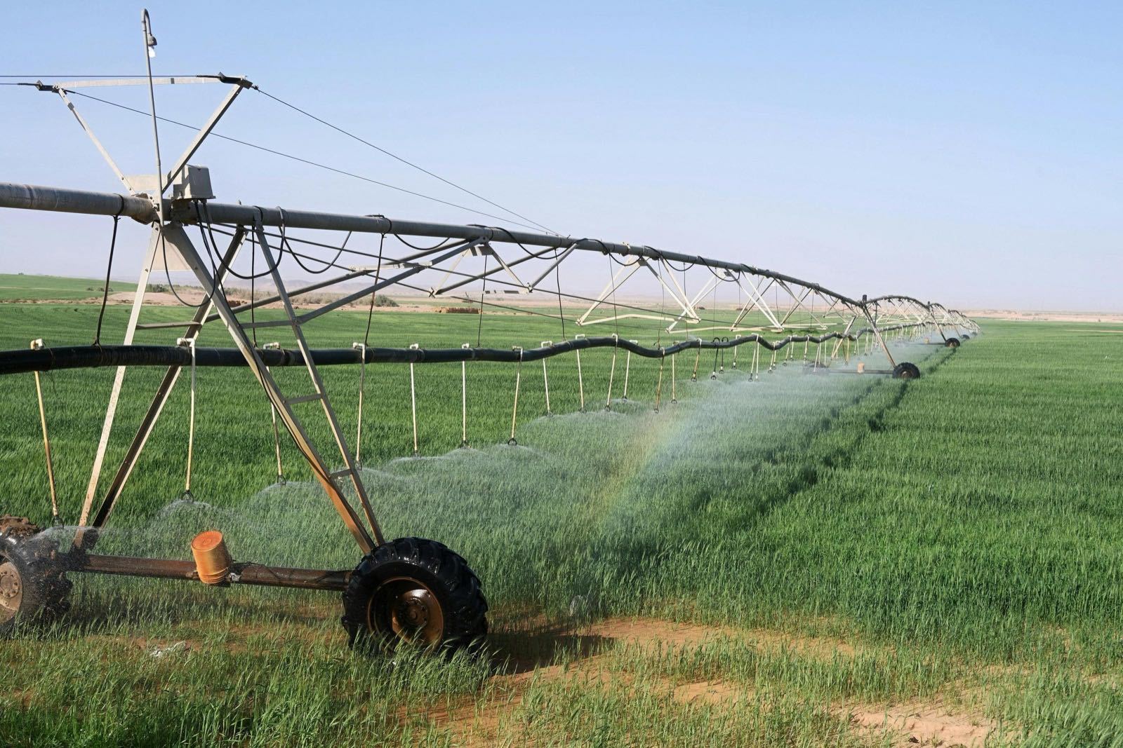 Smart Irrigation Systems: Saving Water and Boosting Yields