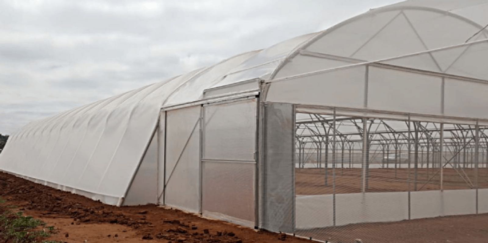Tunnel Greenhouse