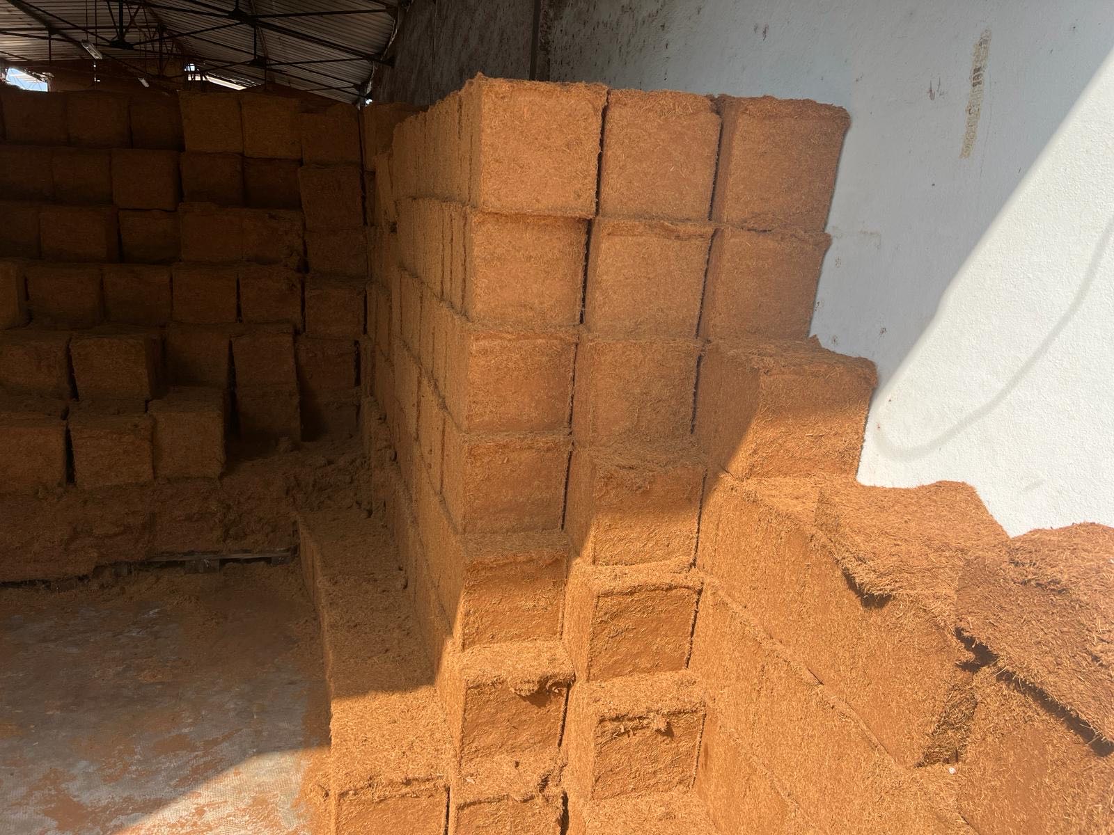 The Benefits of Coco Peat for Soil Health and Crop Production