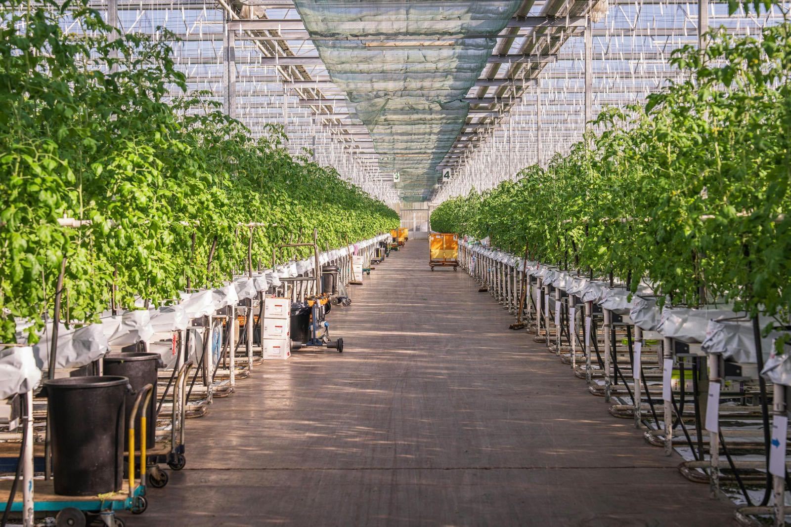 Protected Farming Solutions