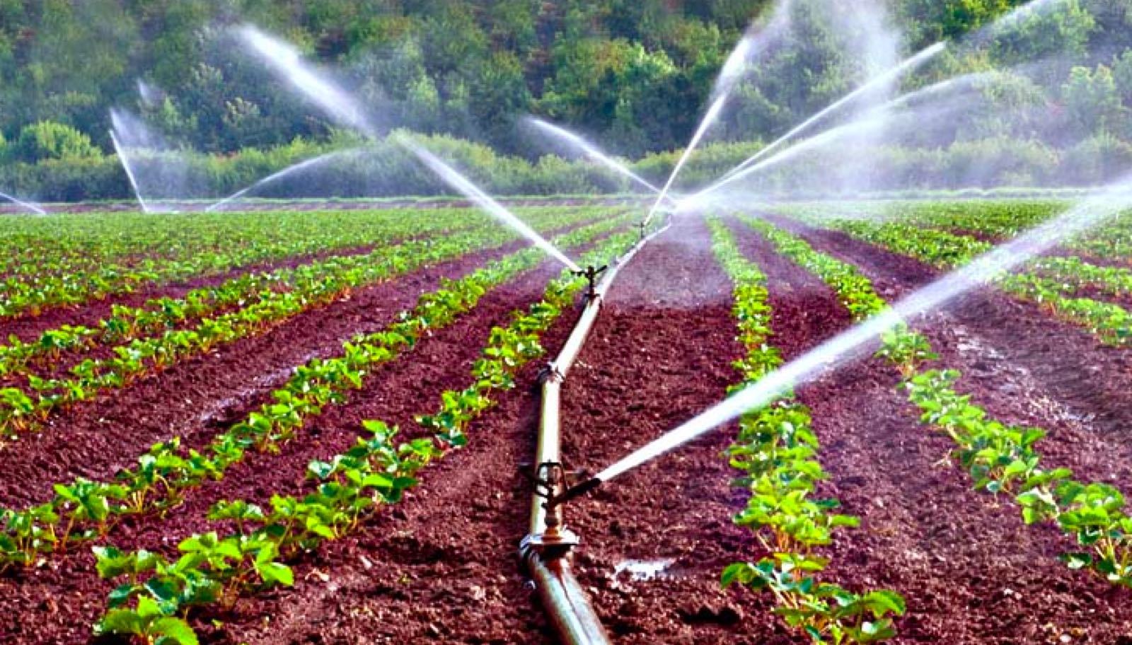 A Complete Guide to Precision Irrigation in African Agriculture