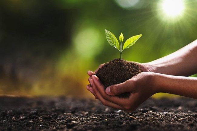 Organic Soil Amendments