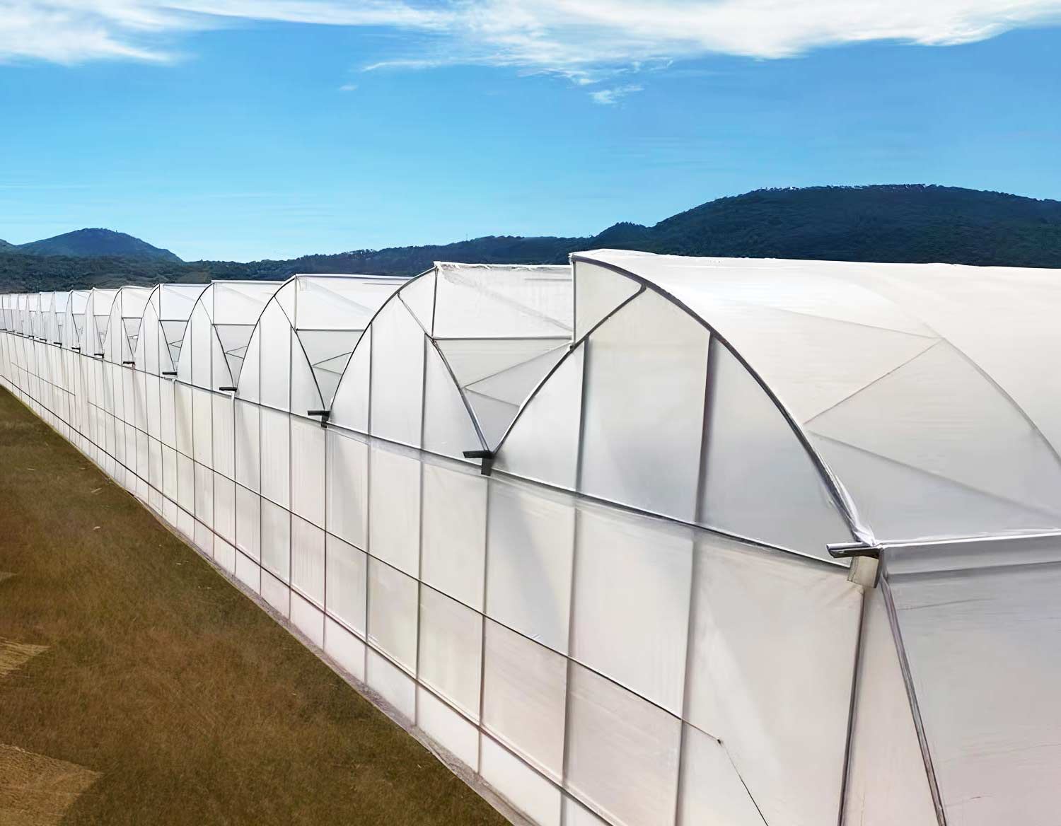 Sawtooth Greenhouse