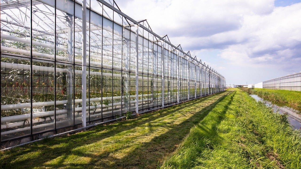 High-tech Tropical Greenhouses
